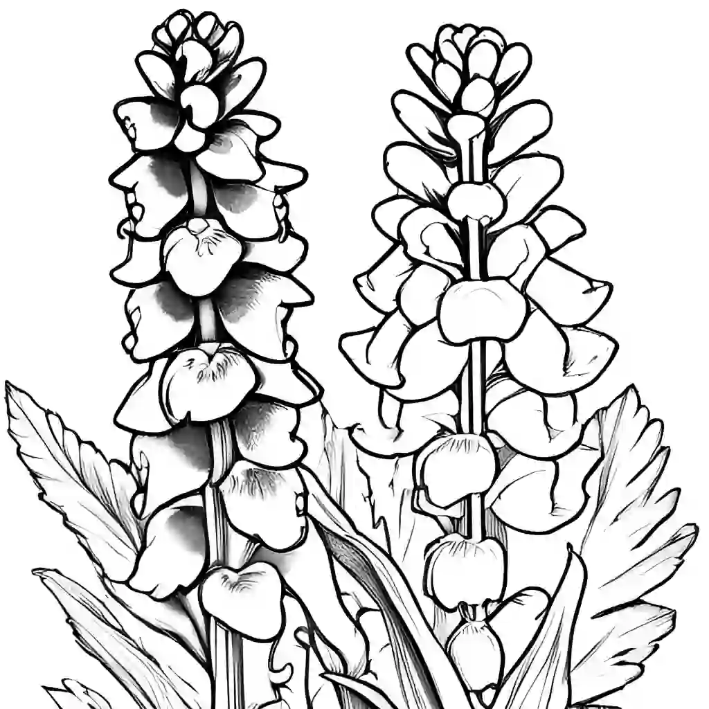 Snapdragons coloring pages